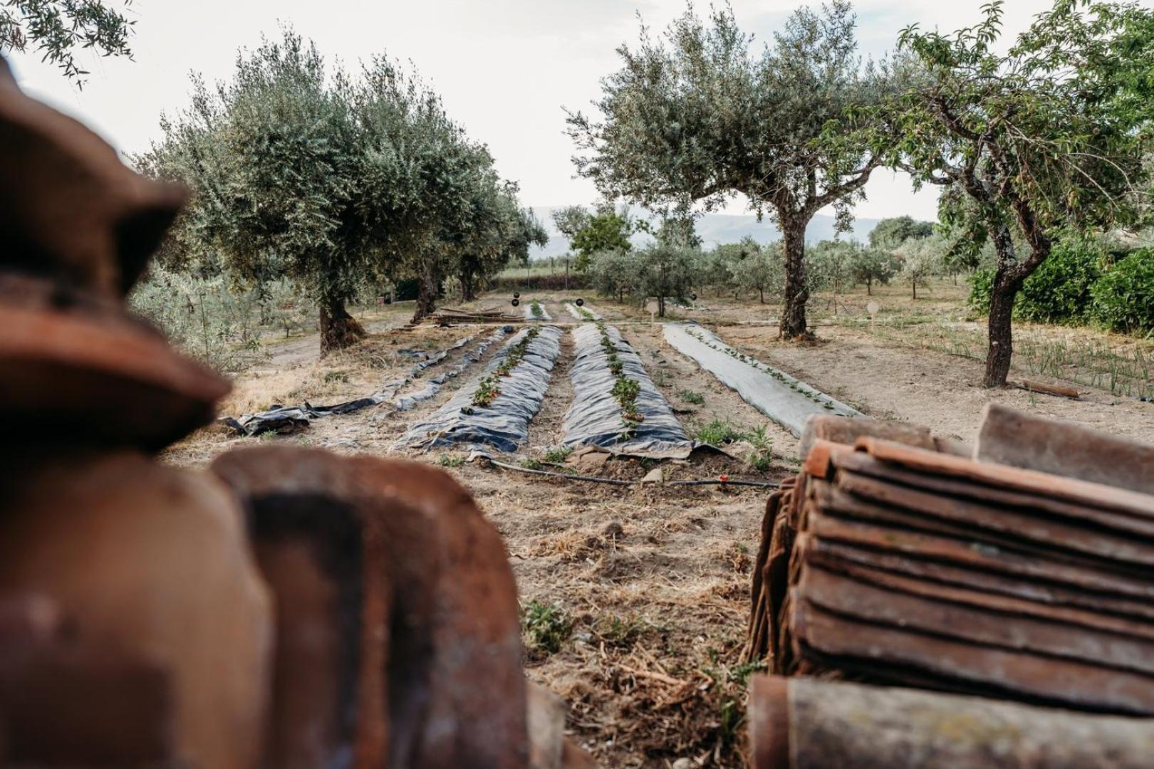 מלון Fundão Quinta De S. Miguel מראה חיצוני תמונה